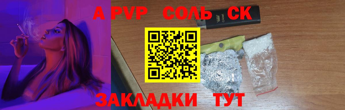 A PVP СК КРИС Солнечногорск