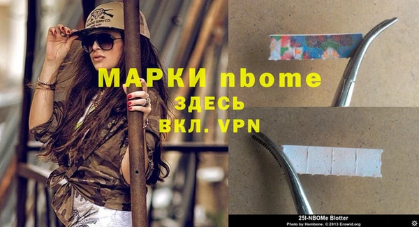 стаф Алексин