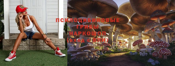 винт Сафоново