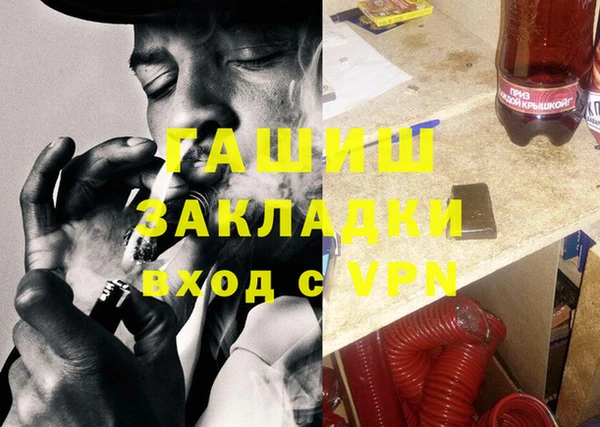 стаф Алексин