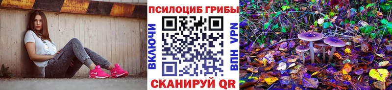 Галлюциногенные грибы Psilocybe Солнечногорск
