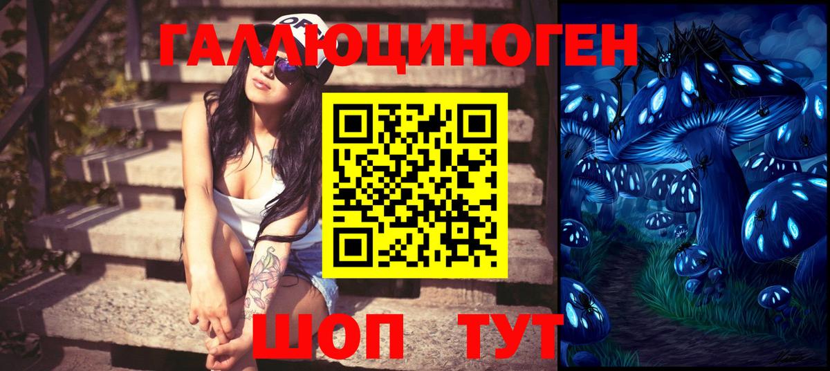 Солнечногорск  Галлюциногенные грибы мухоморы  Вход с VPN  Псилоцибиновые грибы MAGIC MUSHROOMS 