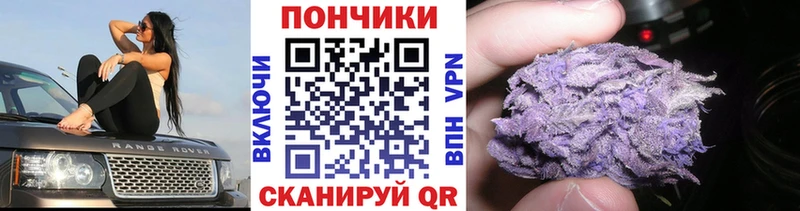 Бошки Шишки планчик  наркота  Солнечногорск 